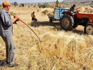 ÇİFTÇİYE VERİLECEK OLAN DESTEK ÖDEMELERİ BUGÜN BAŞLIYOR