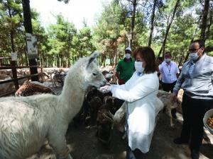 GAZİANTEP HAYVANAT BAHÇESİ, YENİDEN AÇILIŞI İÇİN GÜN SAYIYOR