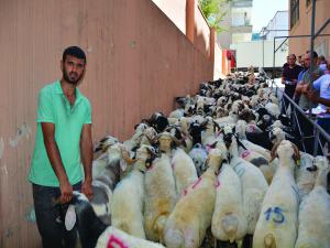 Gaziantep Yardım Vakfından  Kurban kolaylığı