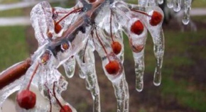 Meteorolojiden zirai don uyarısı