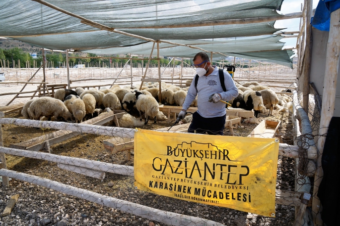 KURBAN BAYRAMI TEDBİRLERİ ARALIKSIZ DEVAM EDİYOR!