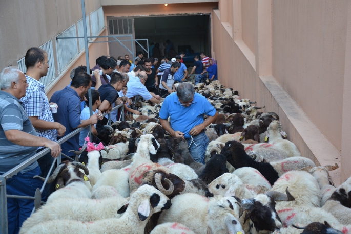 Kurban Keseceklere Büyük Kolaylık