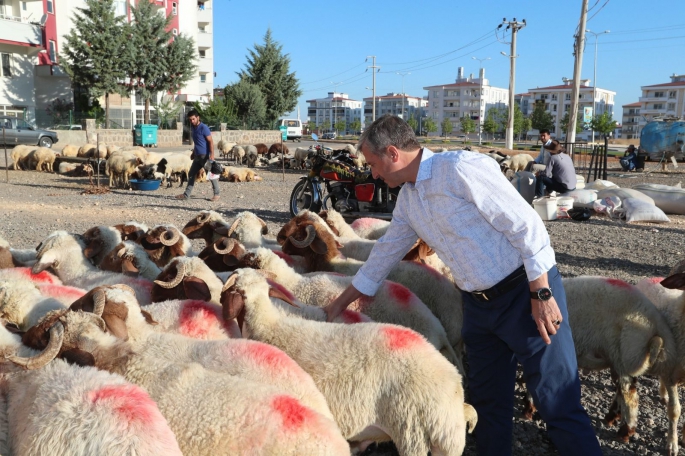 ŞAHİNBEY’DE KURBAN SATIŞ VE KESİM YERLERİ BELİRLENDİ