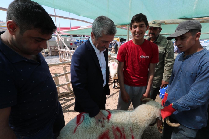 ŞAHİNBEY'DE KURBAN SATIŞ VE KESİM YERLERİ BELLİ OLDU